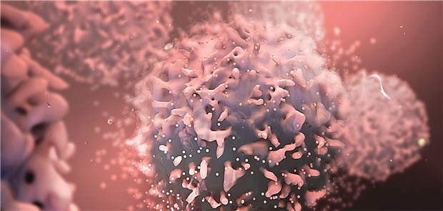 Funktion, Diagnose und Therapie primärer Immundefekte Funktion, Diagnose und Therapie primärer Immundefekte