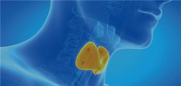 Herausforderungen, Therapieziele und -optionen bei Parathormon-Mangel