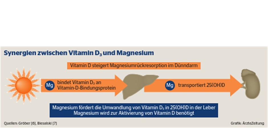 Vitamin D Und Magnesium Abstand www.aerztezeitung.de