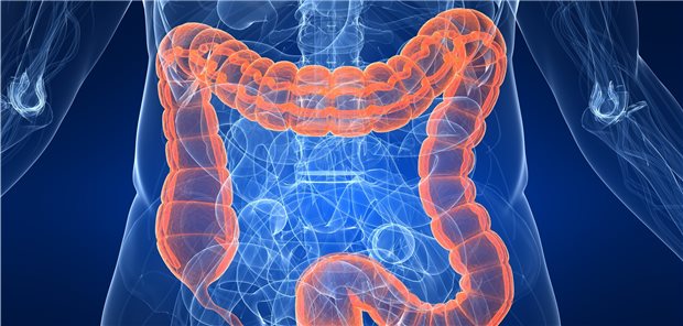 Probiotische Reizdarmtherapie geht auch mit inaktivierten Bakterien