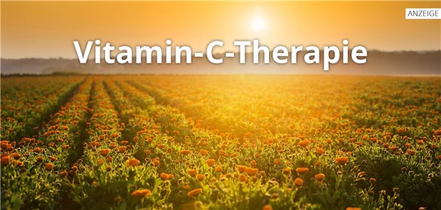 Die Chancen der Vitamin-C-Hochdosis-Therapie nutzen Die Chancen der Vitamin-C-Hochdosis-Therapie nutzen