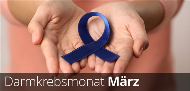 Prävention im Fokus