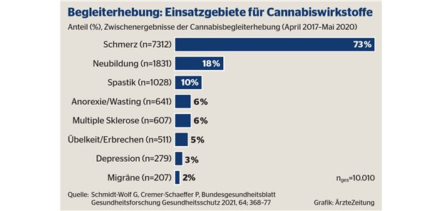 Cannabinoidtherapie erfolgreich beantragen: So geht’s
