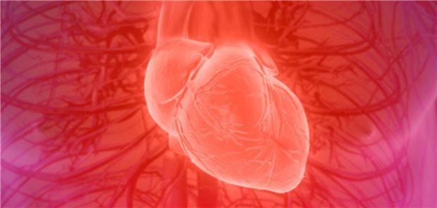 Neue ESC/EACTS-Leitlinie: TAVI ab einem Alter von 75 Jahren empfohlen