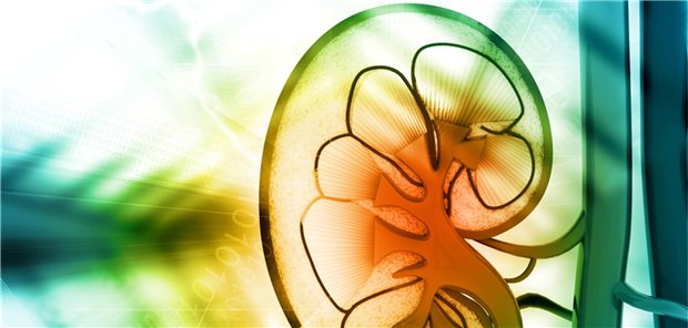 Strategien bei Hyperkaliämie, sekundärem Hyperparathyreoidismus und Eisenmangel