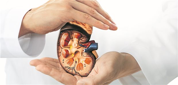Diabetische Nephropathie: Neue Optionen zur Diagnostik und Therapie