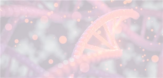 Die rasche Progression erfordert ein schnelles Handeln