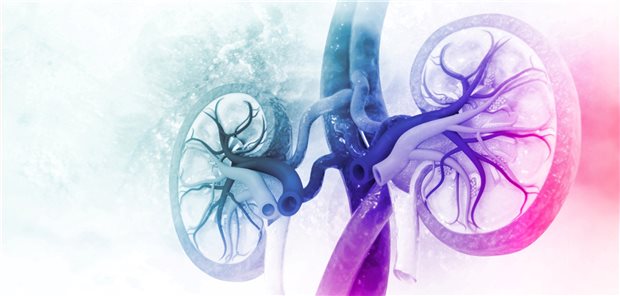 Lupusnephritis erkennen und behandeln