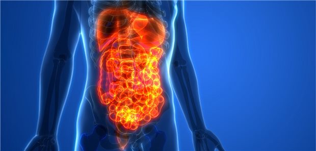 GI-Tumore und die Rolle von Angiogenesehemmern