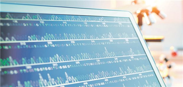 Menschliches Y-Chromosom vollständig sequenziert