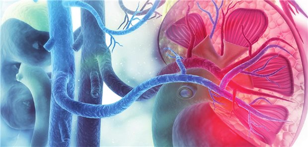 Neues zur AAV-Therapie: Therapieempfehlungen im Update und Behandlung im klinischen Alltag