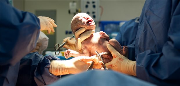 Hat das Gestationsalter bei termingerechter Entbindung Einfluss auf schulische Leistung der Kinder?