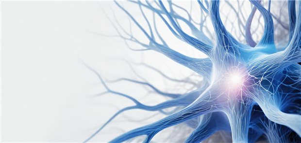 Neue Daten untermauern günstiges Sicherheitsprofil von Ofatumumab Neue Daten untermauern günstiges Sicherheitsprofil von Ofatumumab