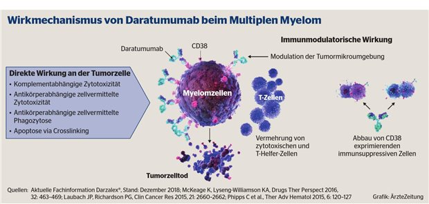 Multiples Myelom: Tumorzelltod durch Daratumumab induziert