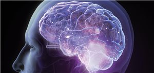 Neurotrope Nährstoffe unterstützen Nervenregeneration