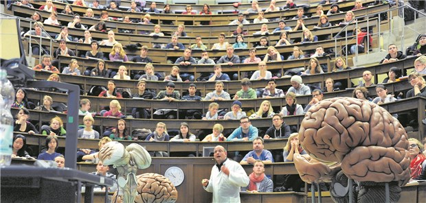 Schulen / Internate / Studium