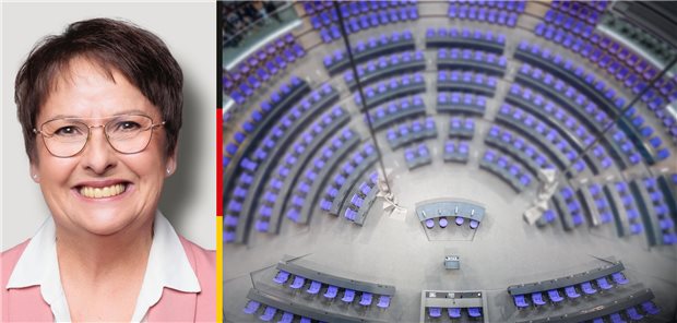 Abgeordnete im Porträt: Patricia Lips (CDU) Abgeordnete im Porträt: Patricia Lips (CDU)