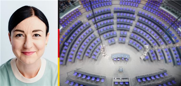 Abgeordnete im Porträt: Paula Piechotta (Die Grünen)