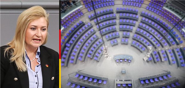 Abgeordnete im Porträt: Carolin Bachmann (AfD) Abgeordnete im Porträt: Carolin Bachmann (AfD)