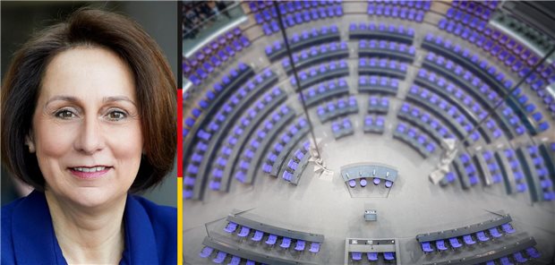 Abgeordnete im Porträt: Nicole Westig (FDP)