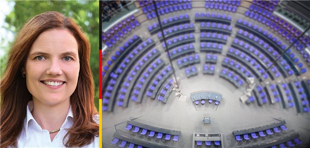 Abgeordnete im Porträt: Anne Janssen (CDU) Abgeordnete im Porträt: Anne Janssen (CDU)