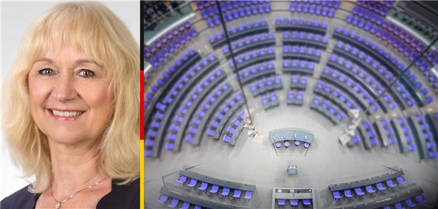 Abgeordnete im Porträt: Christina Baum (AfD) Abgeordnete im Porträt: Christina Baum (AfD)