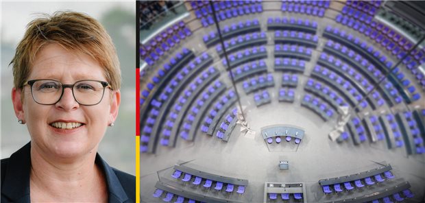 Abgeordnete im Porträt: Tanja Machalet (SPD) Abgeordnete im Porträt: Tanja Machalet (SPD)