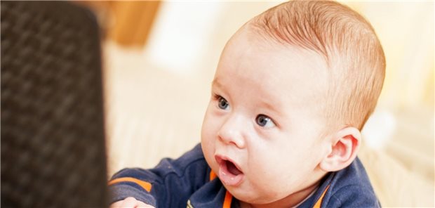 IPD-Fälle 2024 in Deutschland merklich gestiegen