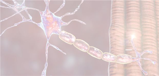 Real-World-Datena bestätigten Ravulizumab in der klinischen Praxis