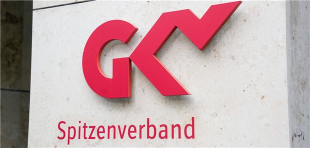 Arzneimittelversorgung in der EU: Status und Ausblick aus Sicht der GKV Arzneimittelversorgung in der EU: Status und Ausblick aus Sicht der GKV