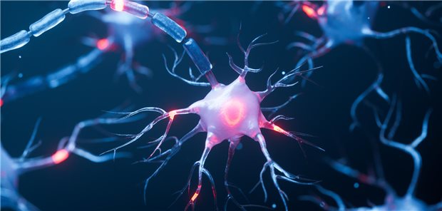 7-Jahres-Daten belegen günstiges Nutzen-Risiko-Profil von Ofatumumab 7-Jahres-Daten belegen günstiges Nutzen-Risiko-Profil von Ofatumumab