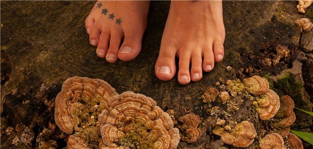 DMykG 2025: So dringt Bifonazol effektiv in die Nagelplatte ein