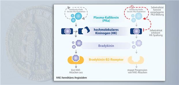 Erste orale Akuttherapie beim hereditären Angioödem