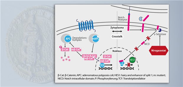 Effektive Wachstumshemmung von Desmoid-Tumoren