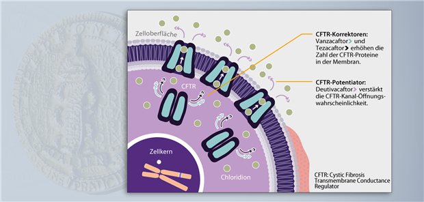 CFTR-Modulation bei cystischer Fibrose mit neuer Dreifachkombination