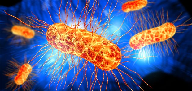 Neue Antibiotika-Studie entschlüsselt besonderen Wirkmechanismus