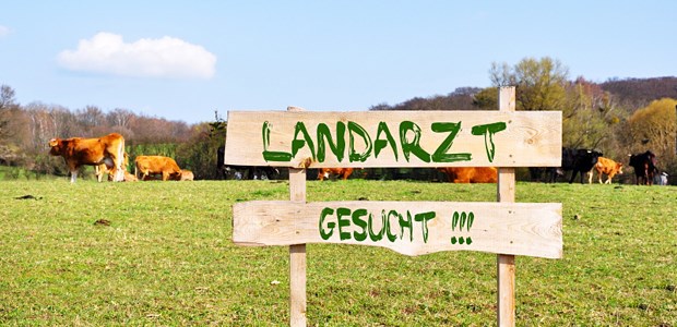 Deutschland gehen die Ärzte aus Bilderrätsel: Wo hat sich der Doktor versteckt?