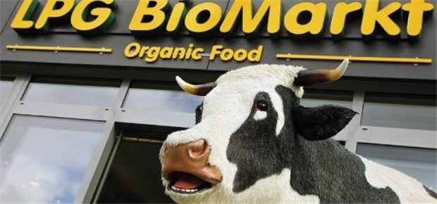 Heftige Schlacht um Marktanteile im Bio- und Ökosegment Biomärkte kämpfen mit Attraktionen wie Kuhattrappen um Kunden.