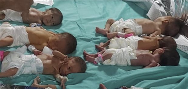 WHO und Unicef gelingt Rettung von Frühgeborenen aus Schifa-Klinik Bis Sonntag lagen nach Meldungen der WHO 32 zu früh geborene palästinensische Babys im Schifa-Krankenhaus. Das Bild wurde am 13. November von Dr. Marawan Abu Saada der Nachrichtenagentur zur Verfügung gestellt. Inzwischen sind anscheinend 31 von ihnen gerettet worden.
