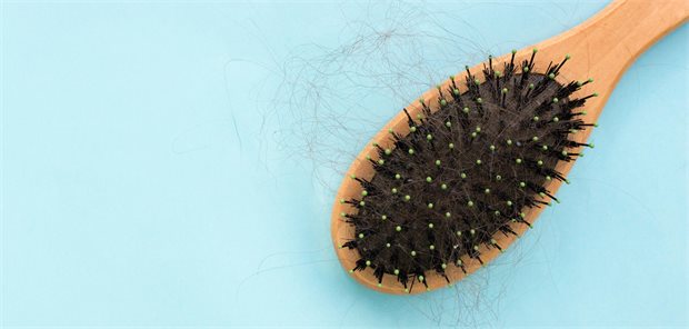 GLP-1-Rezeptoragonisten im Vergleich: So häufig tritt Haarausfall auf Eine Bürste, auf der Haare zu sehen sind, liegt auf einem Tisch.