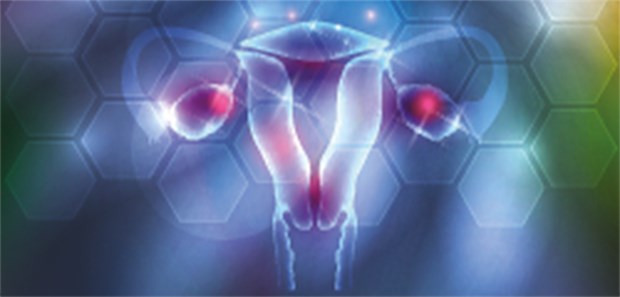 Geburt nach postmortaler Uterusspende Bislang hat es nur Geburten nach Uterustransplantation mit lebend gespendeten Organen gegeben.