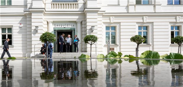 Blick auf den Haupteingang der Nationalen Akademie der Wissenschaften Leopoldina in Halle/Saale