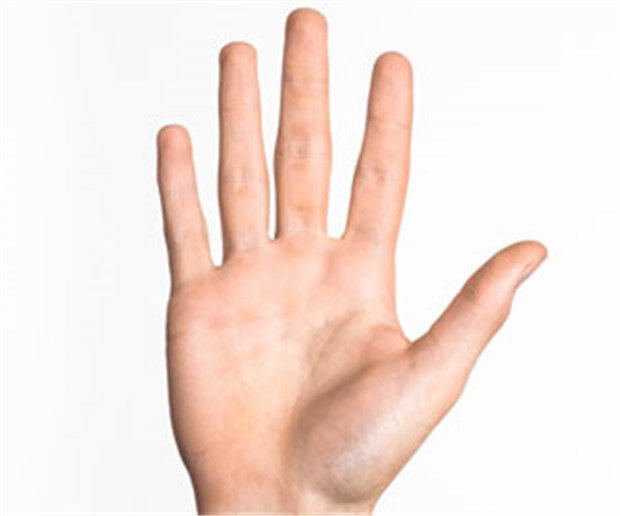 Fingerlänge zeigt, wer aggressiv ist Blick auf die Hand: Menschen mit langem Ringfinger sind laut irischen Wissenschaftlern fitter.