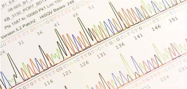 Krebsregister: Es hapert an der Schnittstelle Blick in die Gene: Immer wichtiger für Onkologen.