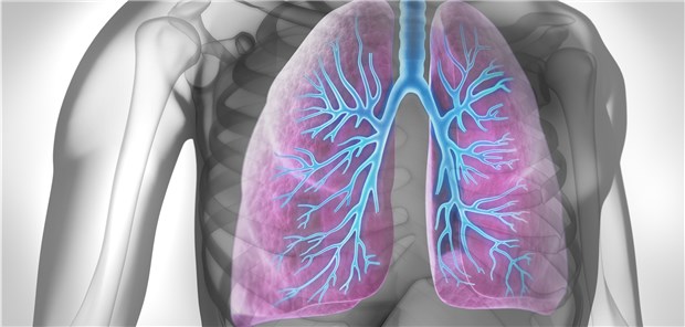 Blick in die Lunge: Ein Medikament mit Elexacaftor, kombiniert mit Tezacaftor und Ivacafto, hat die FDA für Patienten ab 12 Jahren zugelassen, die unter einer zystischen Fibrose mit F508-Mutation leiden.