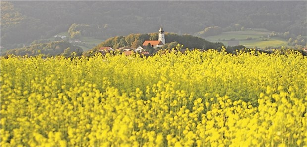 Landarzt-Leben geht auch zeitgemäß! Blick in die dörfliche Idylle von Lalling im Bayerischen Wald: Hier hat die Bayerwald-Praxis einen von vier Standorten.