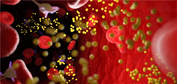 Blick in ein Blutgfäß. Es schwimmen mehrere Moleküle umher.