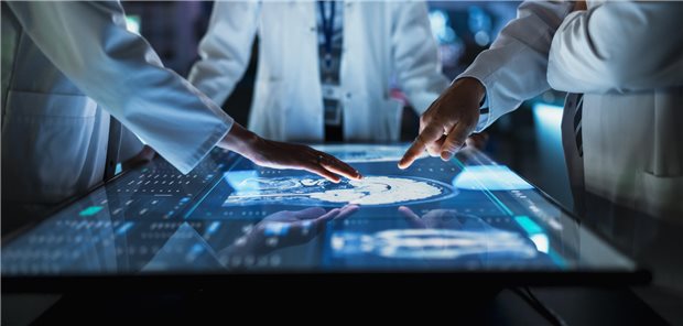 Forscher zeigen auf ein Gehirn