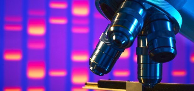 Heilen mit Stammzellen: Auf ein Neues Blick unters Mikroskop: Neurologen hoffen weiter auf Hilfe von Stammzellen.