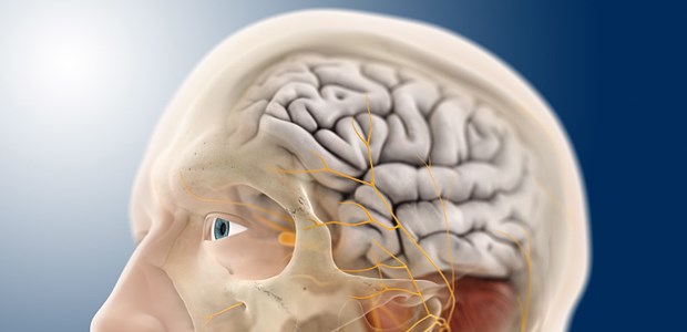 Stopp mit präziser Radiatio Blicks ins Hirn: Wann müssen Meningeome therapiert werden?